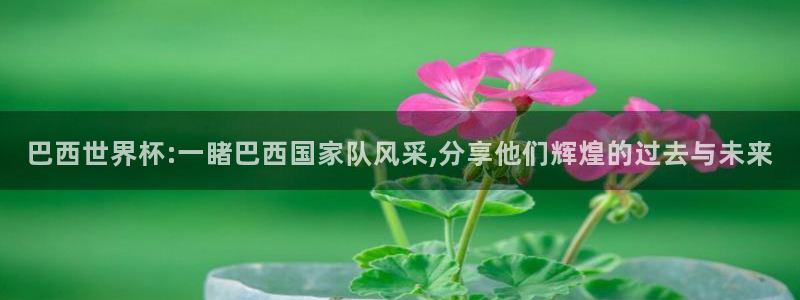 今年的世界杯:巴西世界杯:一睹巴西国家队风采,分享他们辉煌的过去与未来