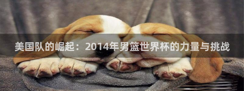 世界杯决赛直播:美国队的崛起:2014年男篮世界杯的力量与挑战