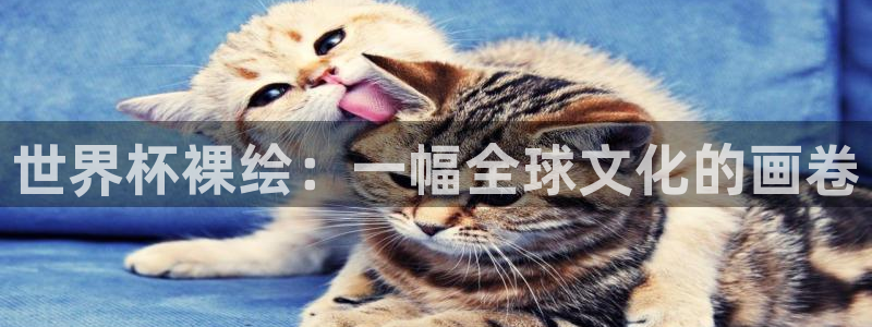 2026年世界杯赛程:世界杯裸绘:一幅全球文化的画卷