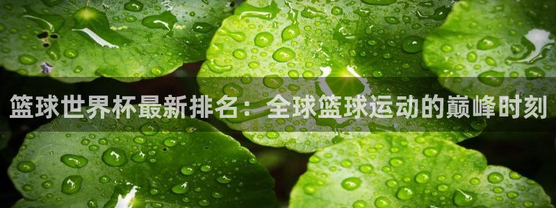 足球比分直播世界杯:篮球世界杯最新排名:全球篮球运动的巅峰时刻