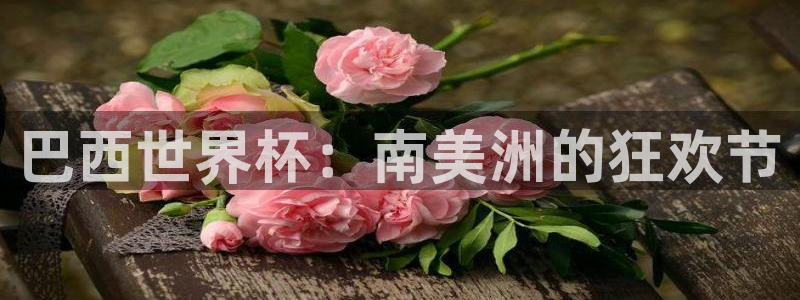 世界杯2026预选赛:巴西世界杯:南美洲的狂欢节