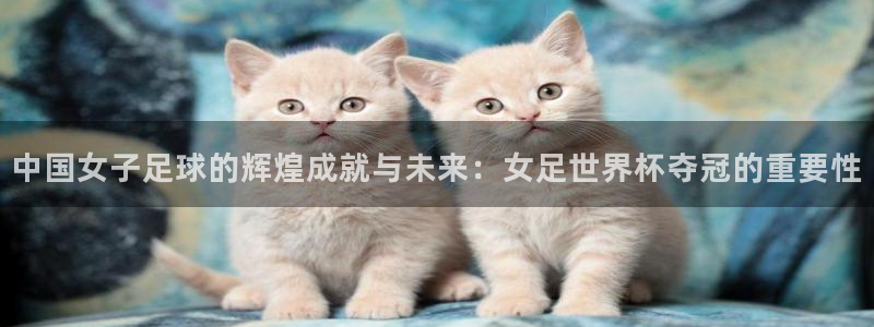 世界杯 直播:中国女子足球的辉煌成就与未来:女足世界杯夺冠的重要性