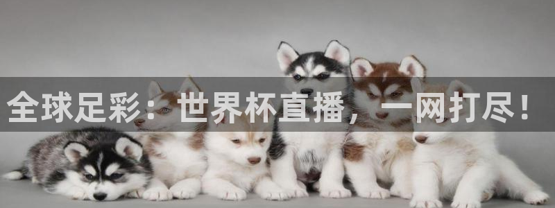 世界杯第一场比赛:全球足彩:世界杯直播,一网打尽!